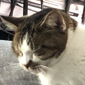 Meet your Posher, Elyse